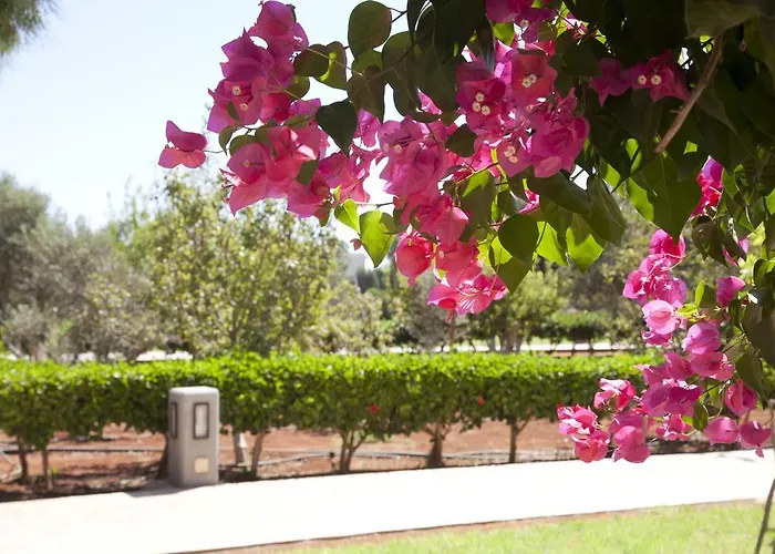 Makronisos Village Lägenhetshotell