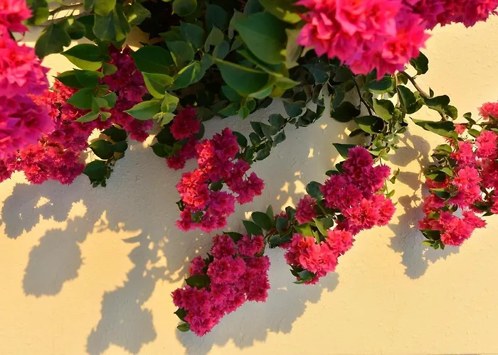 Makronisos Village 4* Ayia Napa